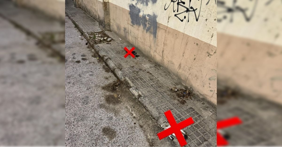 Imagen de las dos palomas muertas en la barriada San José Obrero.