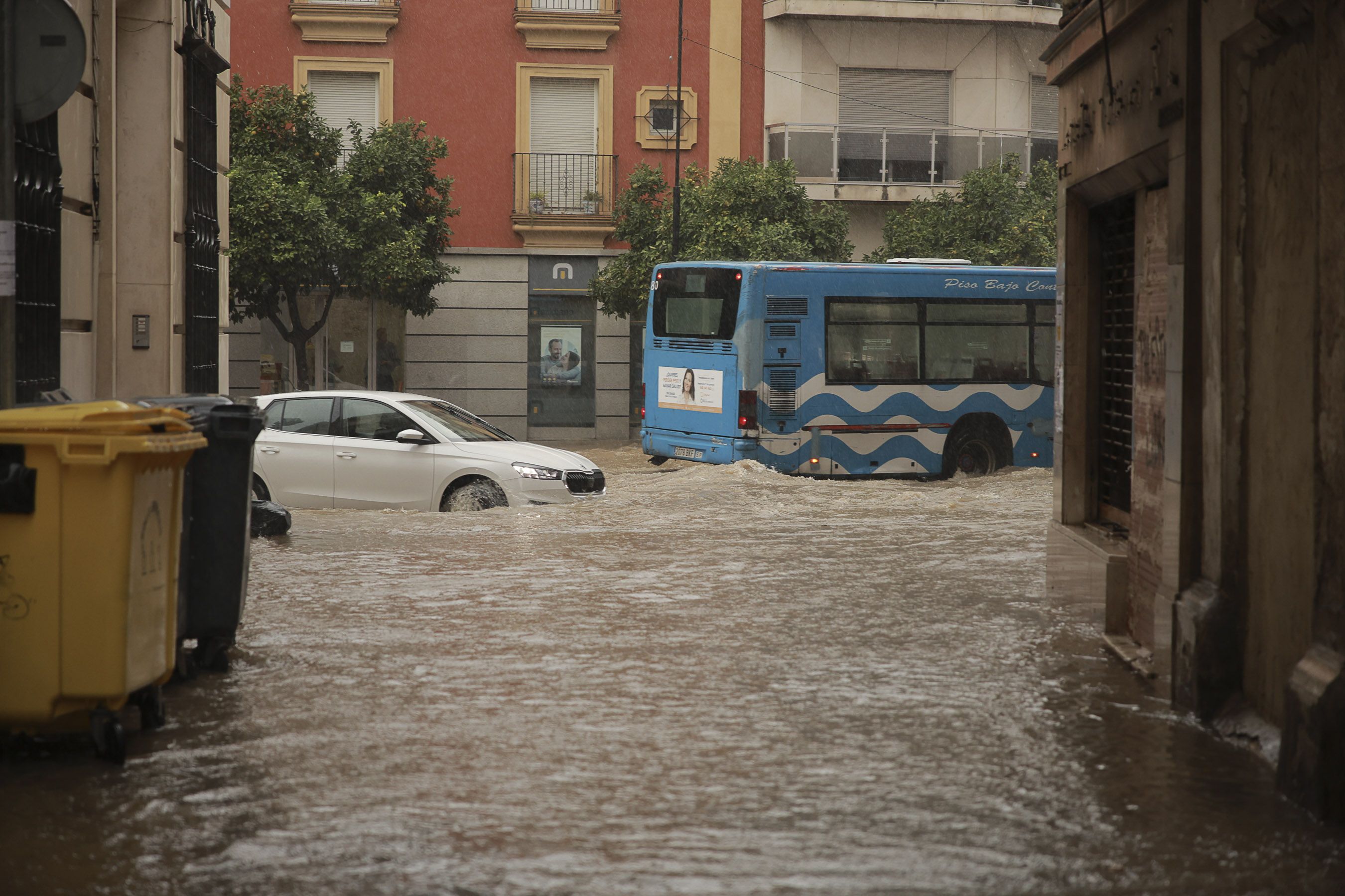 El servicio de transporte público ha quedado suspendido para la jornada de este jueves en Jerez.