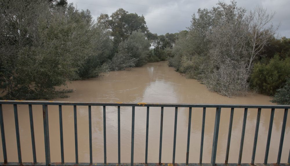 Crecida del río Guadalete en el puente de La Guareña.