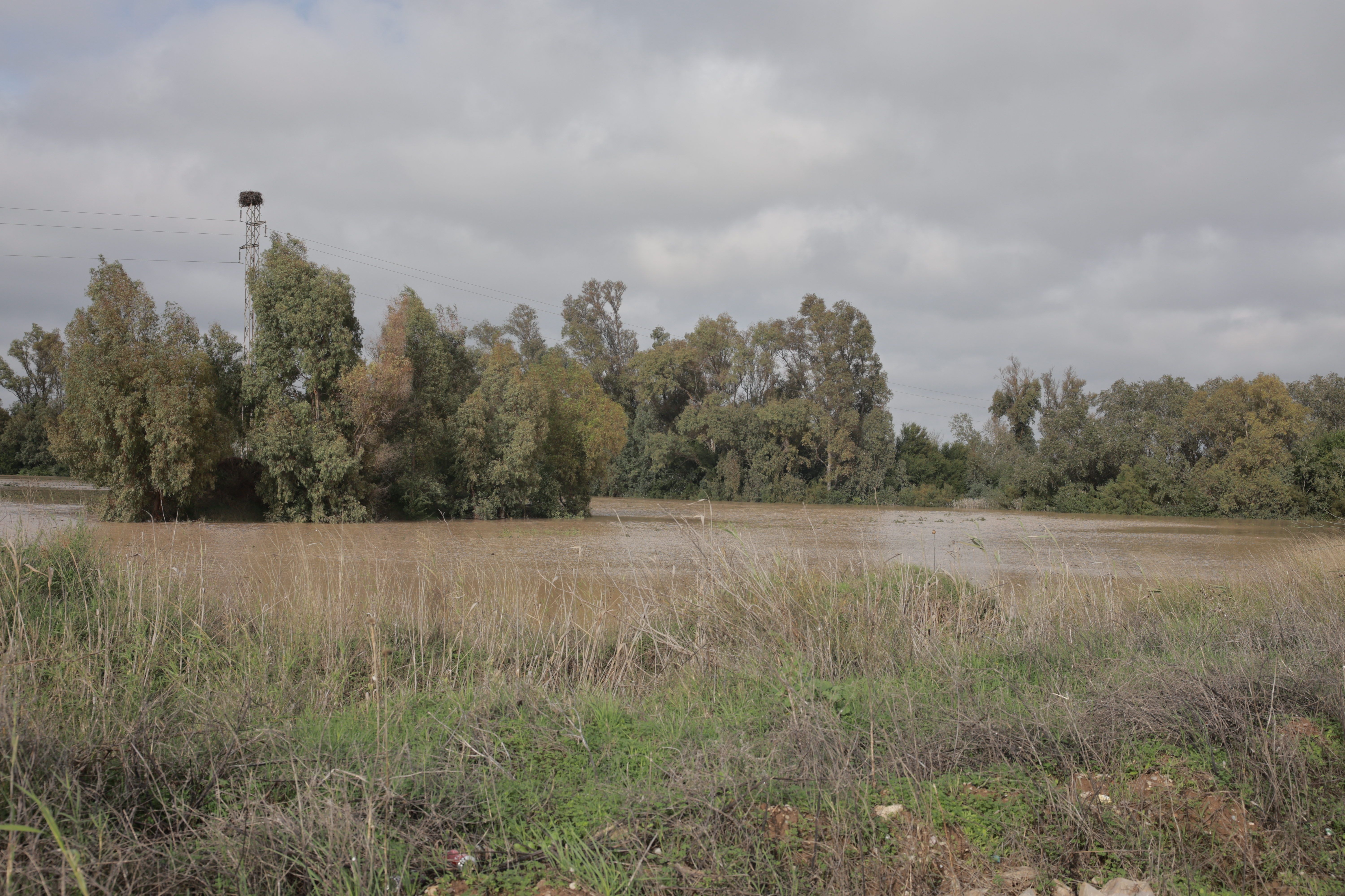 Explotaciones agrícolas inundadas en La Barca.