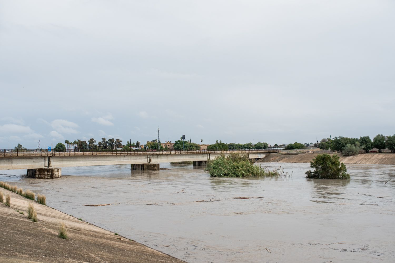 El río Guadaíra, en el mediodía de este jueves a su paso por la capital.