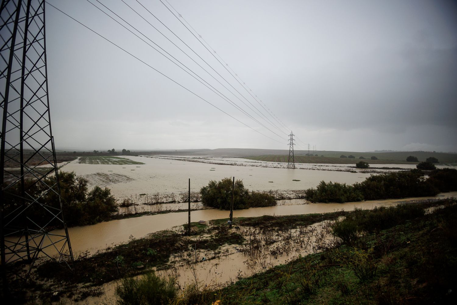 Un campo anegado por la DANA en la provincia de Cádiz.