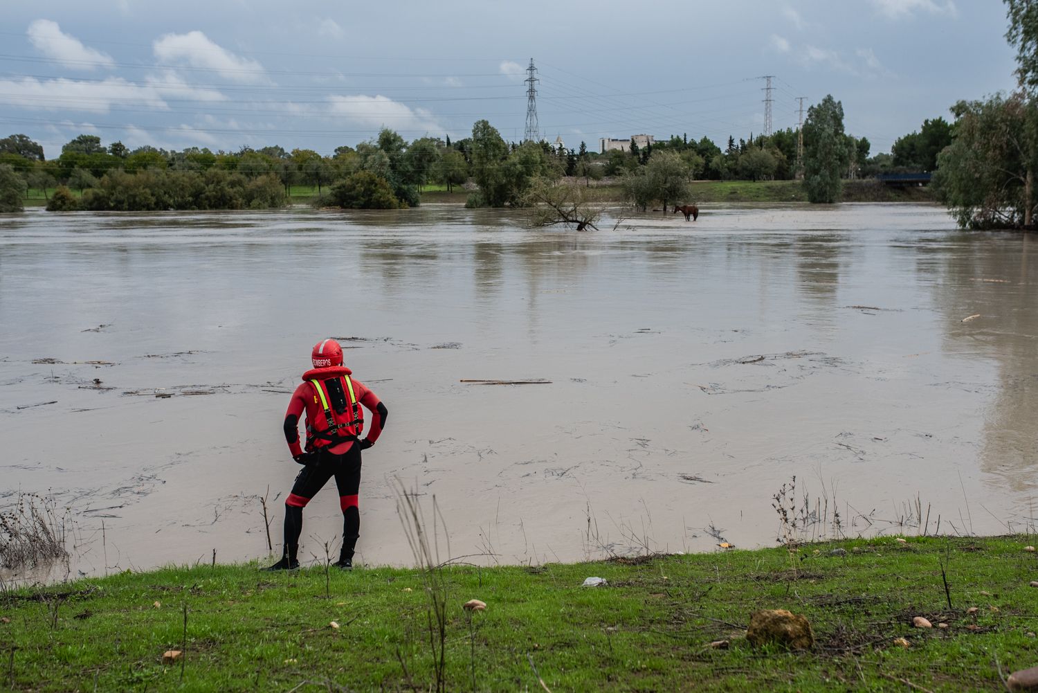 El operativo en el río Guadaíra en Sevilla para intentar sacar a dos caballos atrapados.