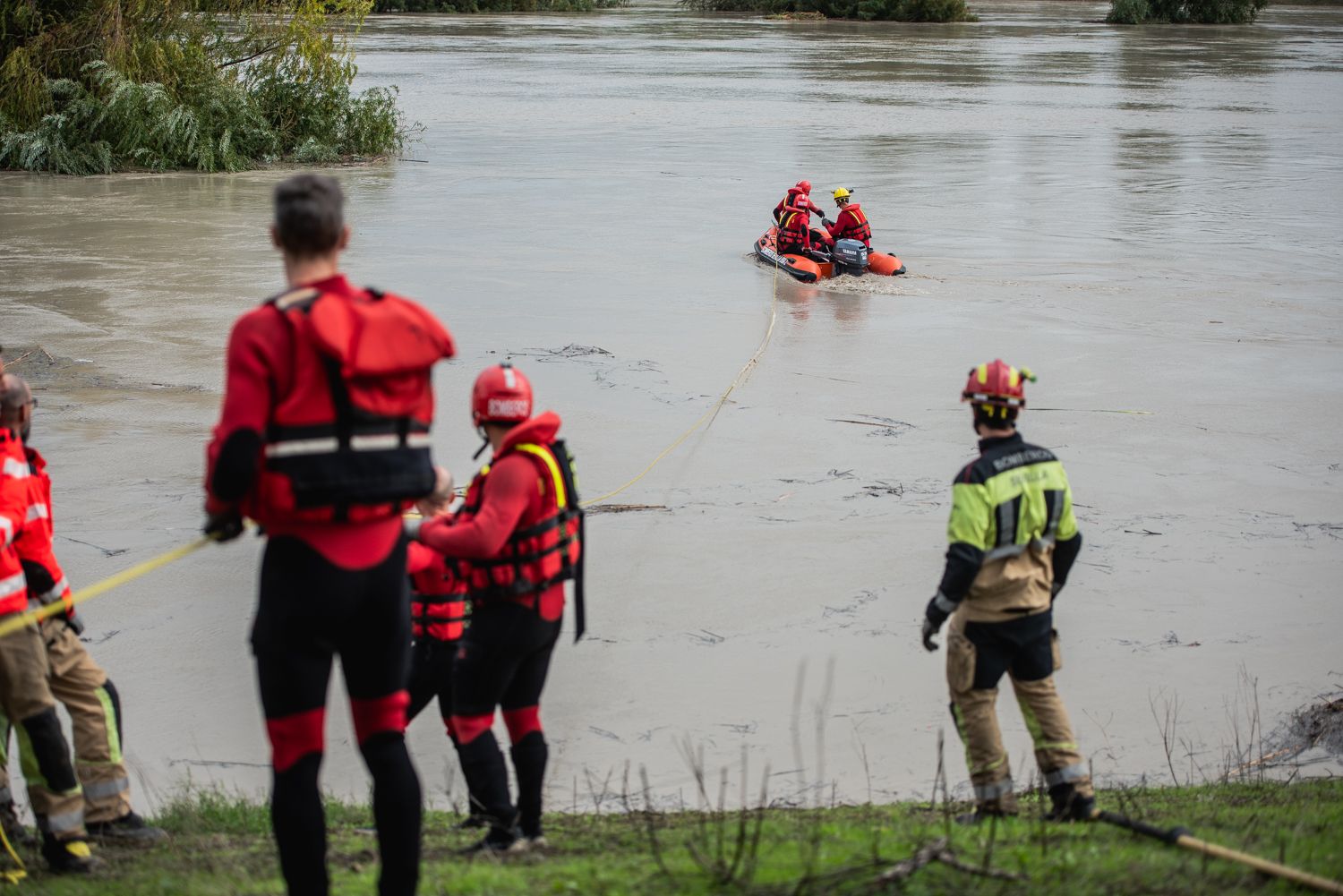 El operativo en el río Guadaíra en Sevilla para intentar sacar a dos caballos atrapados.