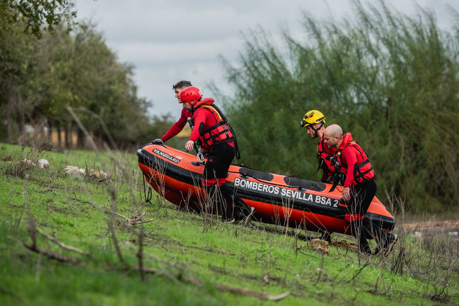 El operativo en el río Guadaíra en Sevilla para intentar sacar a dos caballos atrapados.