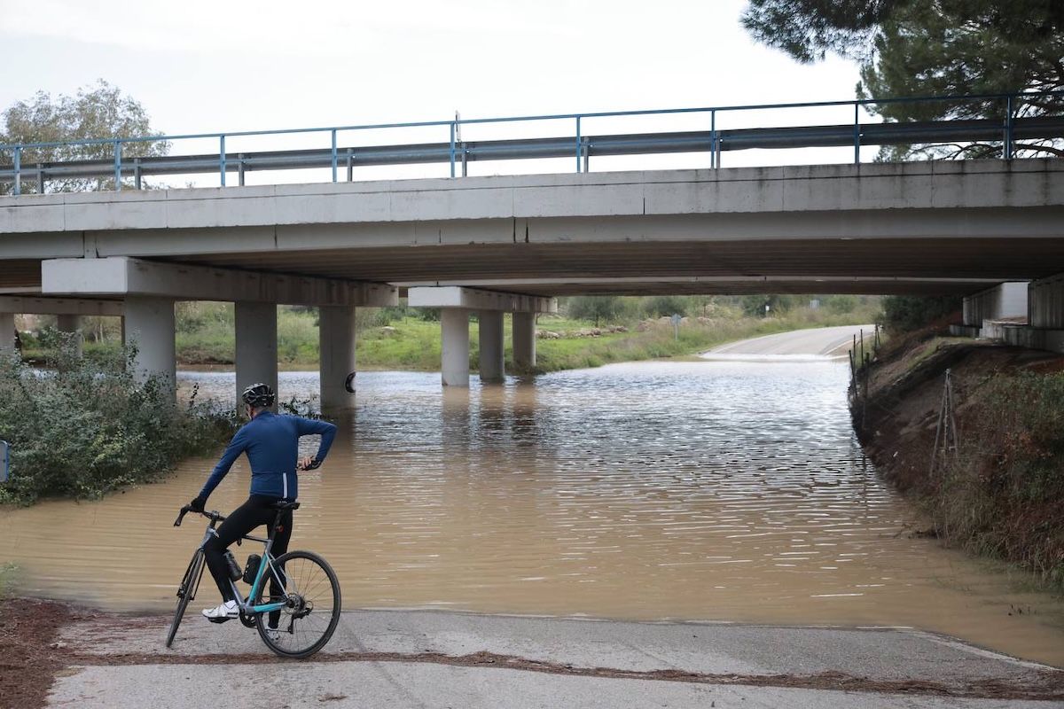 Crecida Guadalete a su paso por la Cartuja