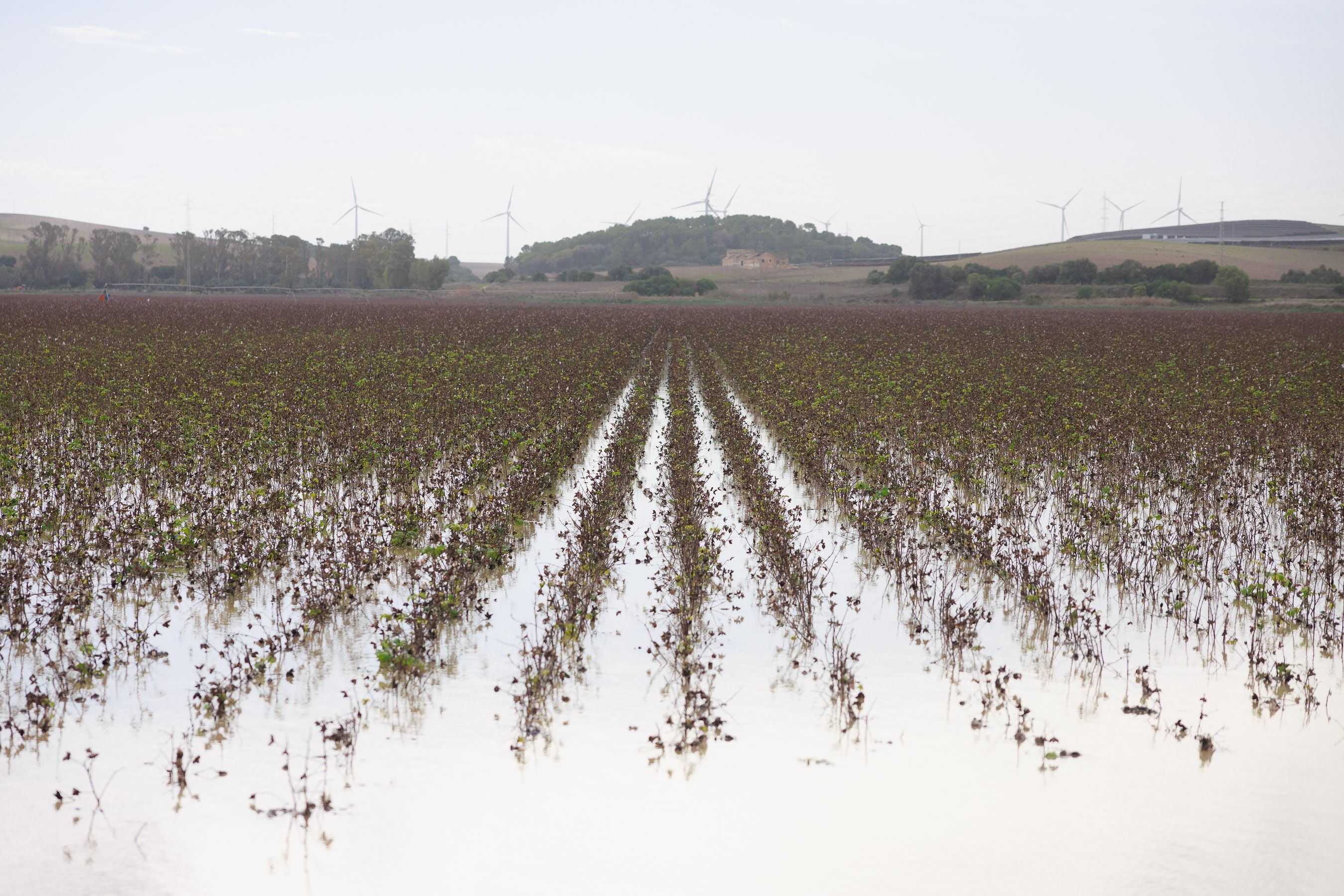 Inundaciones de Jerez. Imágenes del desborde del río Guadalete.