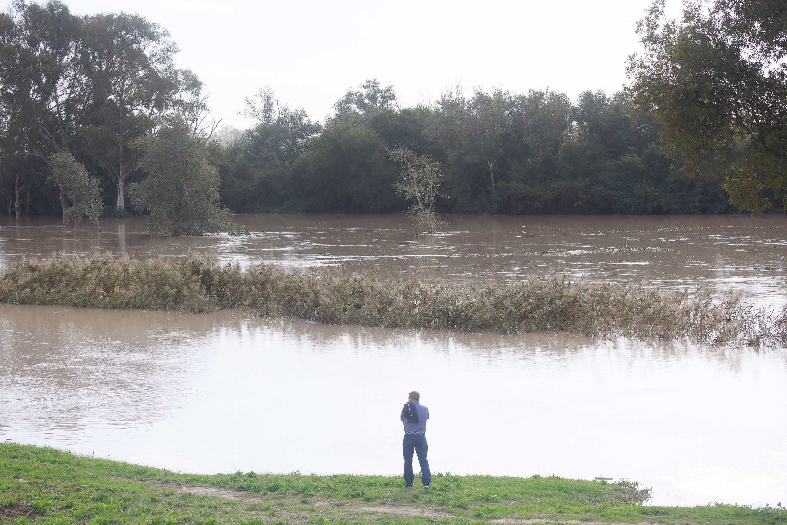 Curiosos se acercan a ver el desborde del Guadalete durante las últimas lluvias.