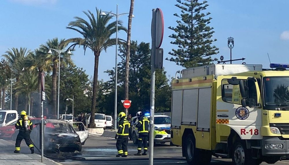 Los bomberos extinguen el fuego en la avenida de la Paz.