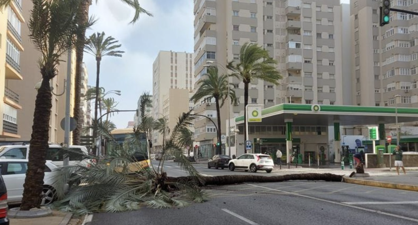 Imagen de un pasado temporal en Cádiz.