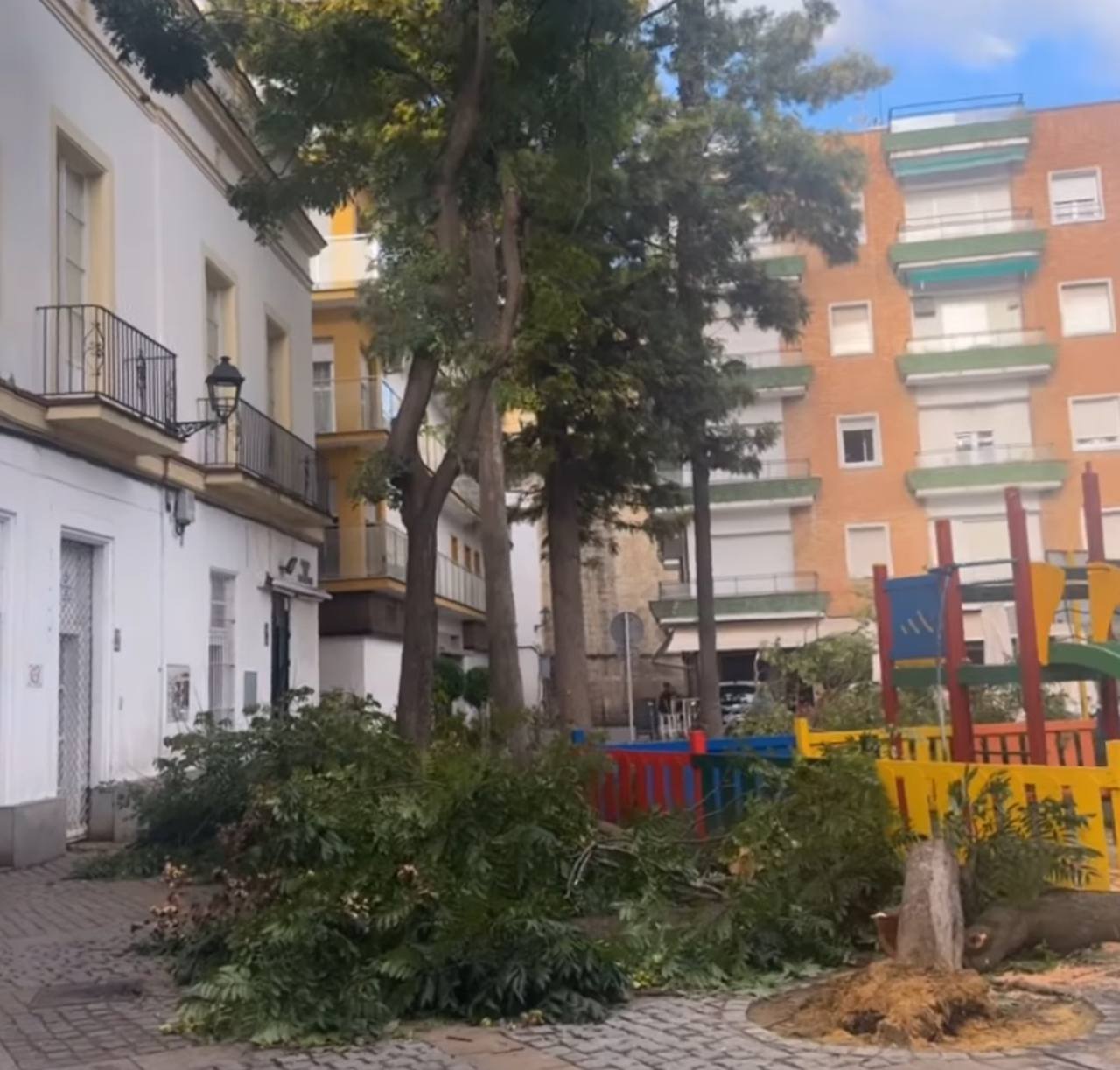 Caída de un árbol en la Plaza del Progreso.