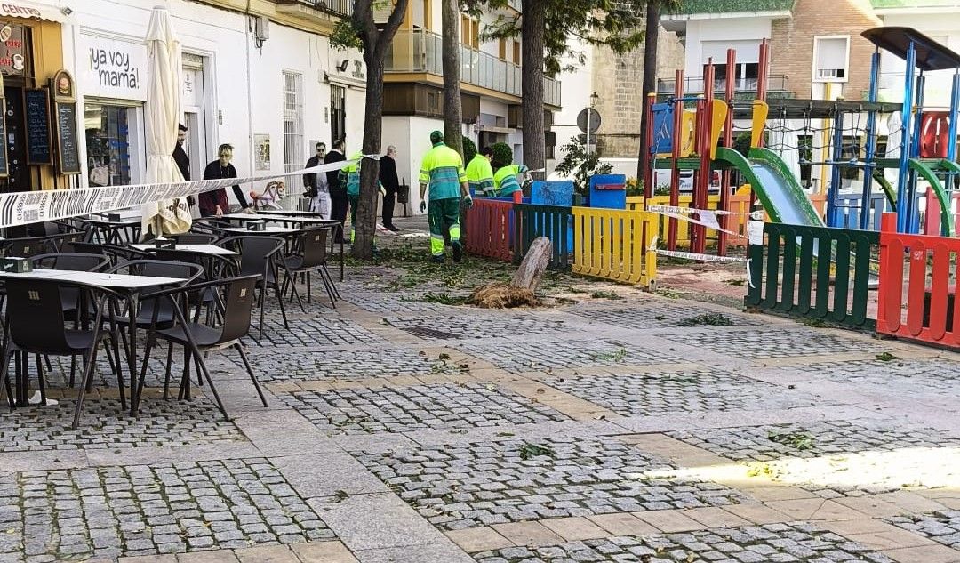 La Plaza del Progreso tras los trabajos municipales.