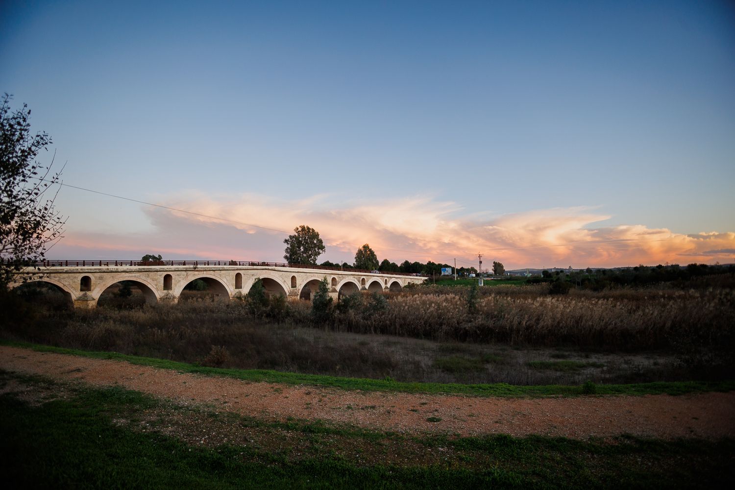 Zona del Puente de Cartuja, en una imagen reciente, en Jerez.