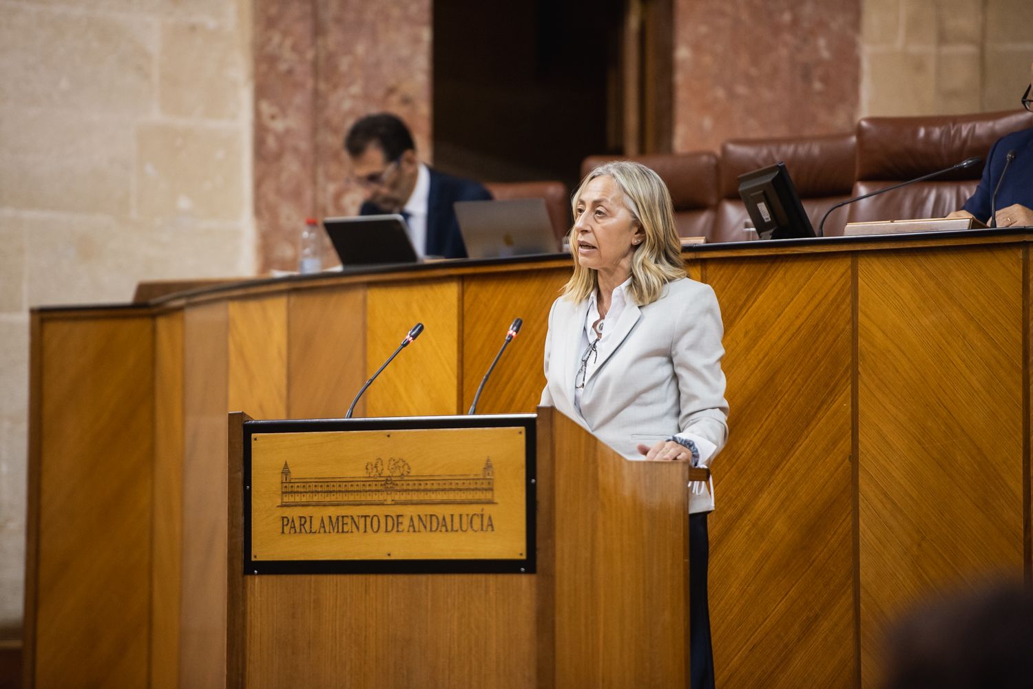 PLENO PARLAMENTO ANDALUCIA 27 NOVIEMBRE 2024 10