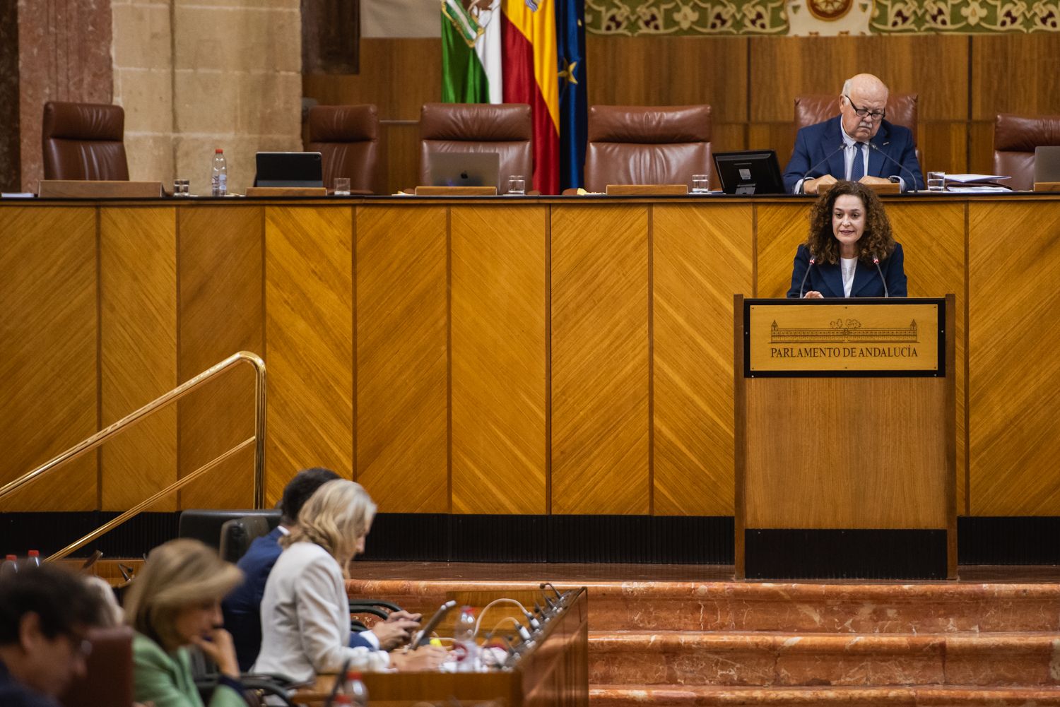 PLENO PARLAMENTO ANDALUCIA 27 NOVIEMBRE 2024 22