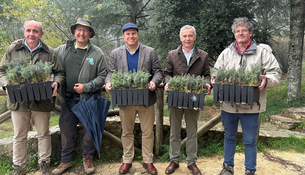 El delegado, presidente de Iberdrola y técnicos con pequeños pinsapos para su plantación.