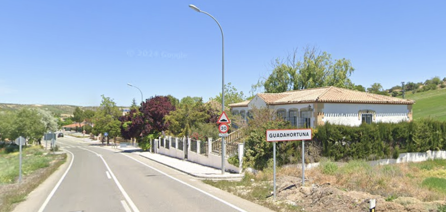 El conductor se da a la fuga tras tener un accidente a la altura de la localidad de Guadahortuna.