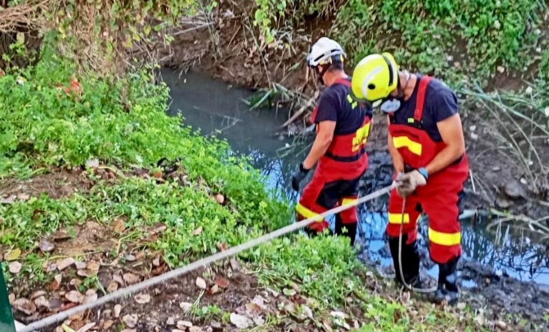 Los bomberos del parque de Chiclana acudieron para la recuperación del cadáver.