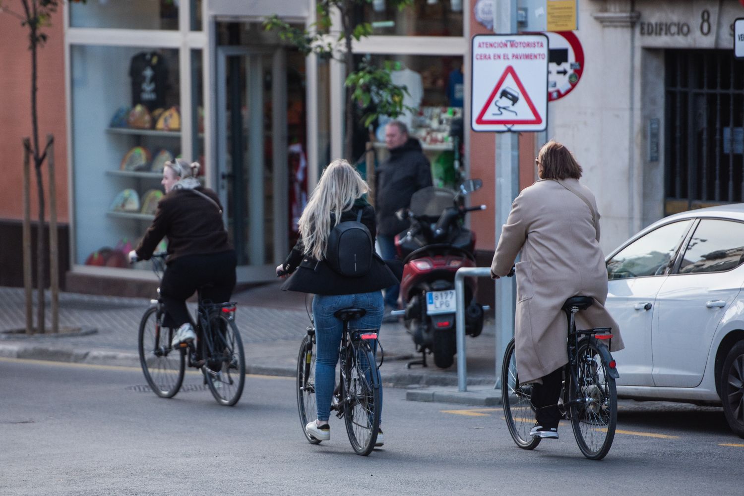 BICICLETAS TRIANA PUREZA 9