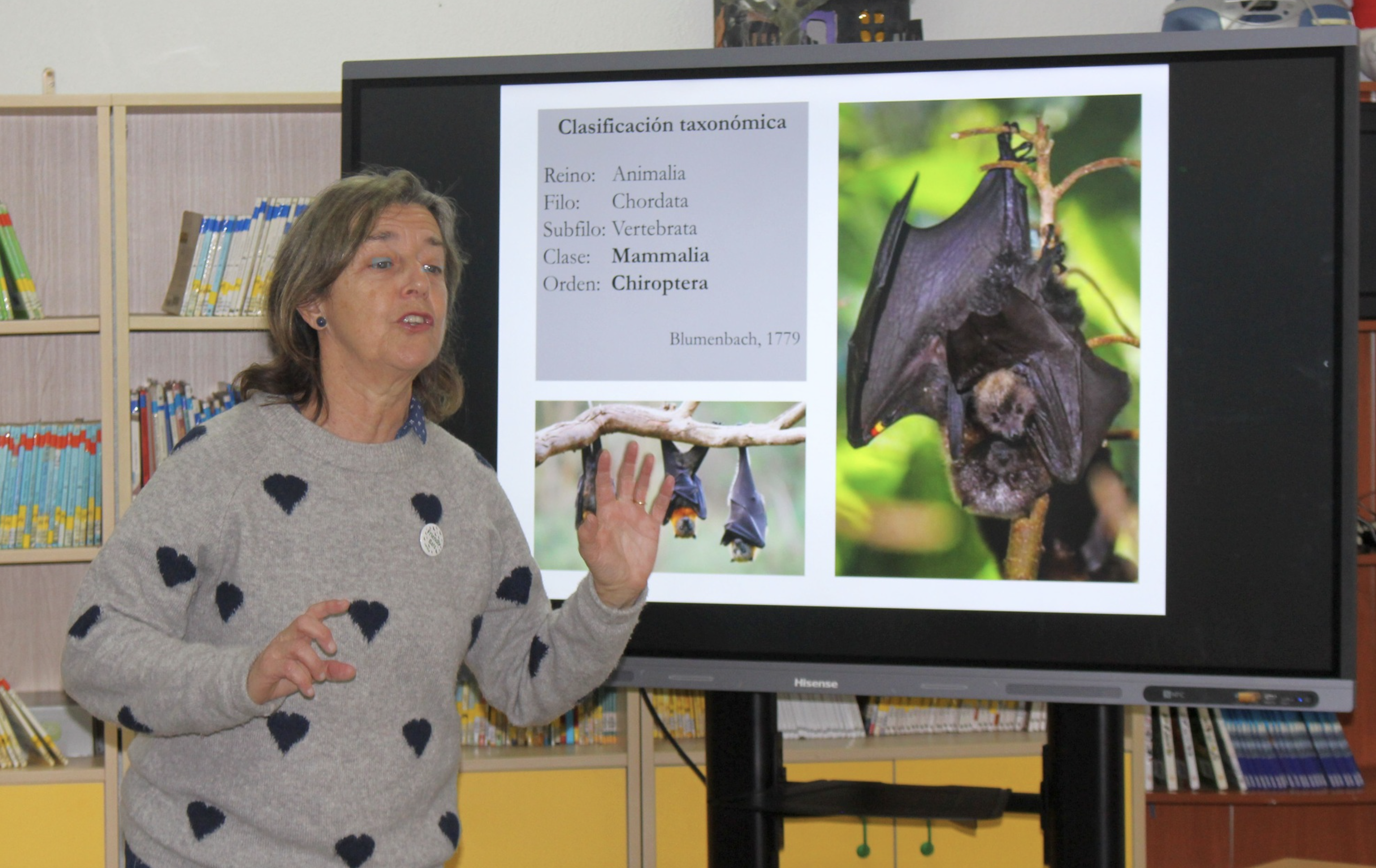 Un taller de murciélagos, una de las propuestas de educación ambiental en Chiclana.