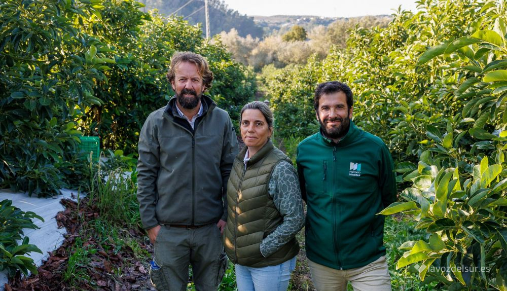 Aguacates de Torrecera para Europa