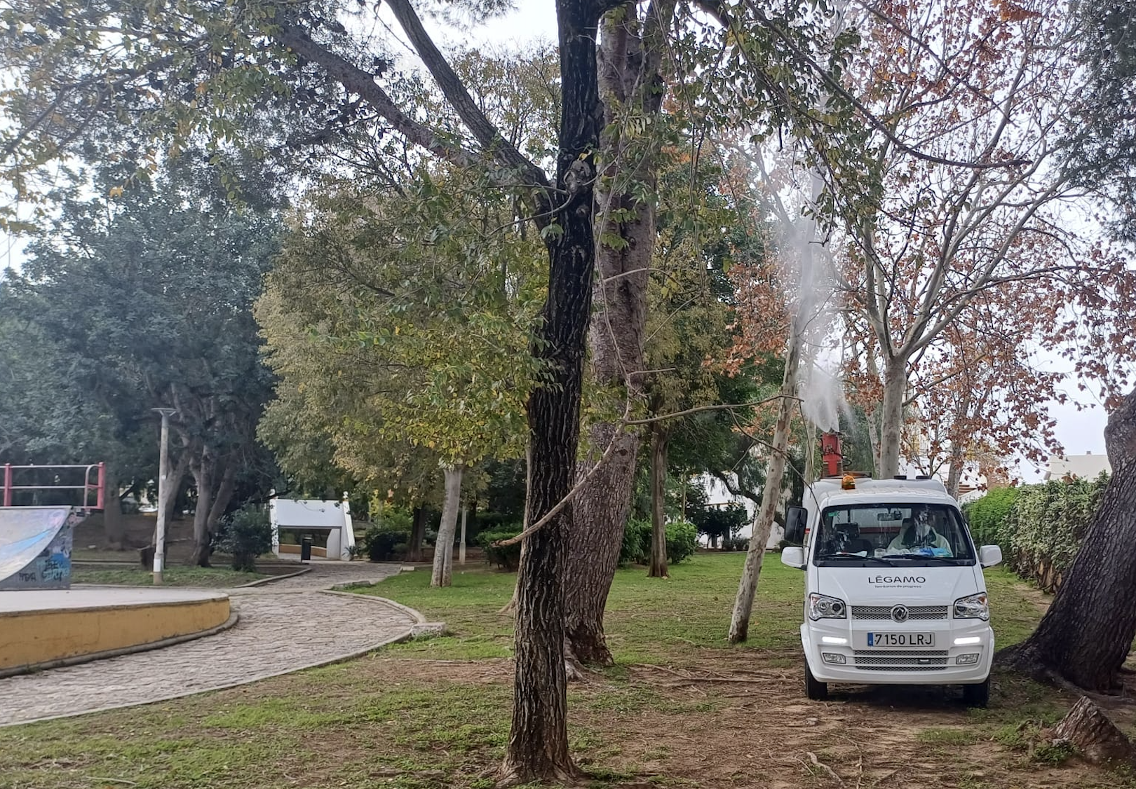 Chiclana actúa contra la oruga procesionaria. Un vehículo fumigando una zona de pinos.