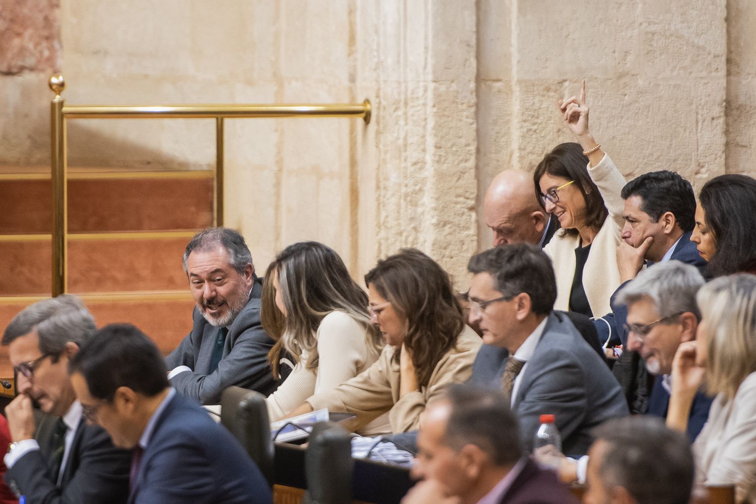 PLENO PARLAMENTO ANDALUCIA 19 DICIEMBRE 2024 9