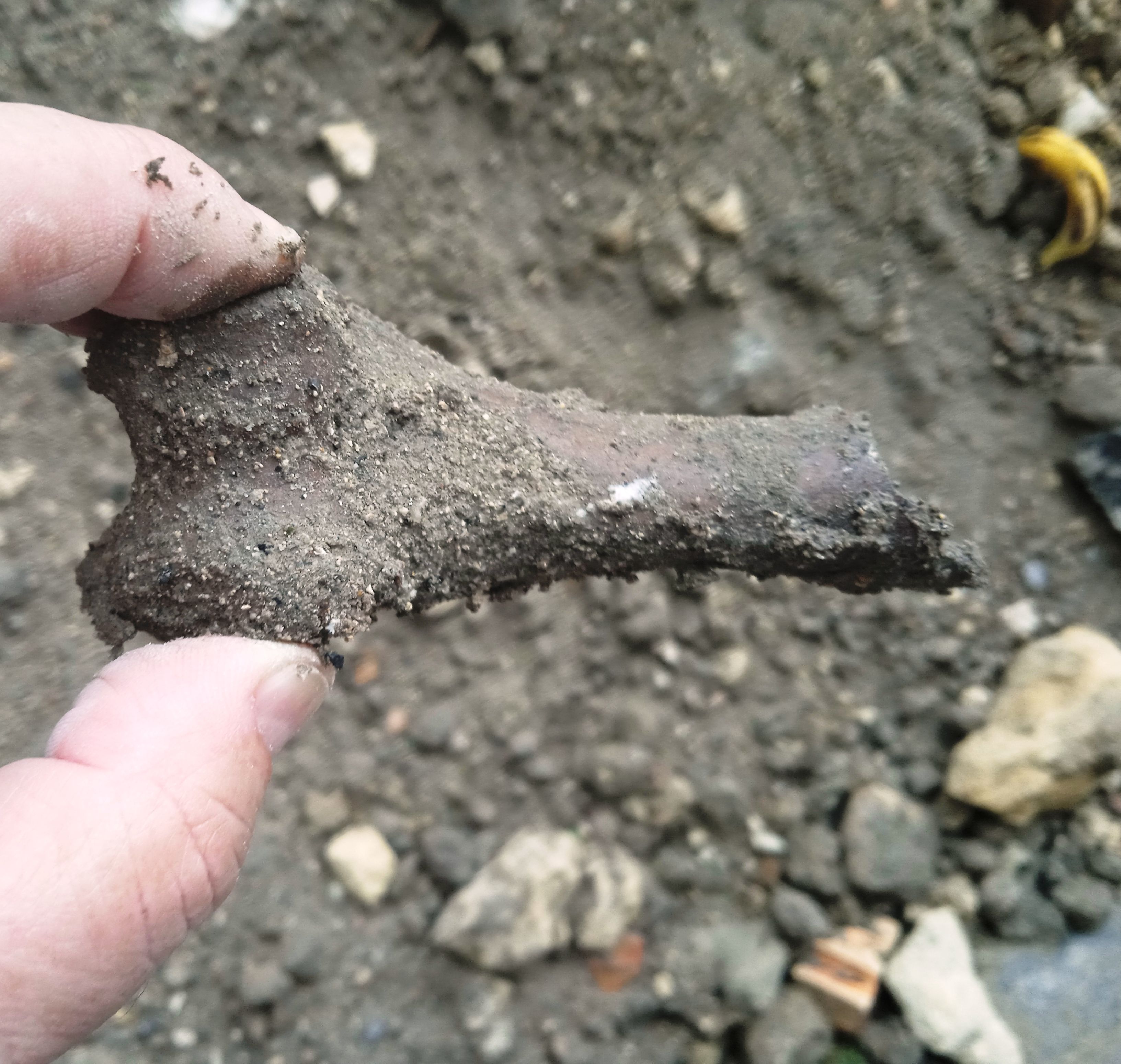 Restos que encontró al aire libre Jesús Caballero Ragel en esta obra, donde se ubica un muladar de Jerez.