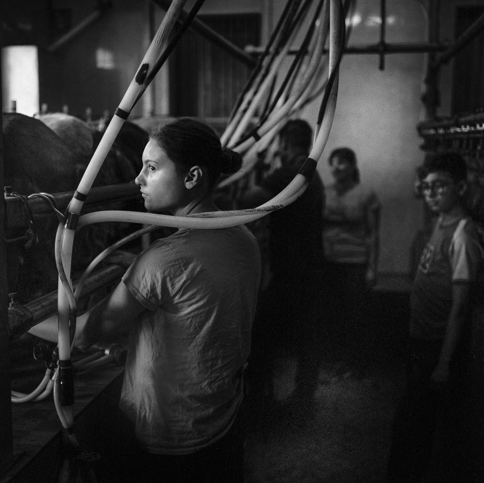 'Un ordeño en familia’, tomada en Árchez (Málaga) por Jean-Sebastien Evrard, ganadora  sexta edición del Concurso Fotográfico Medio Rural y Pesquero en Andalucía.