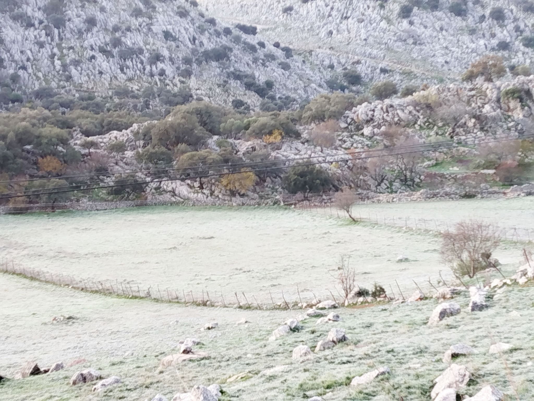 Villaluenga del Rosario amanece con un manto de hielo.