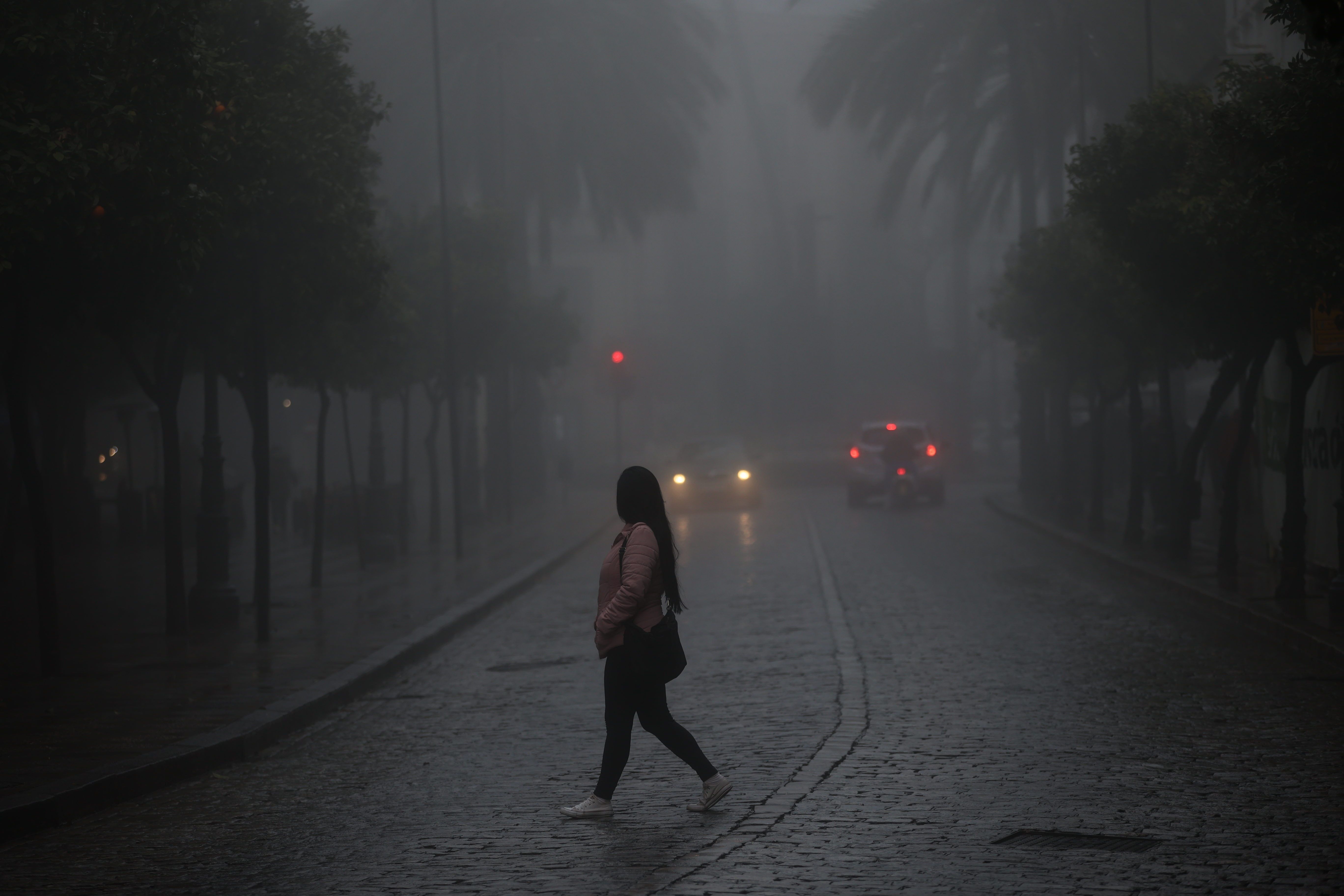 Imagen de la niebla en Jerez esta mañana de jueves.