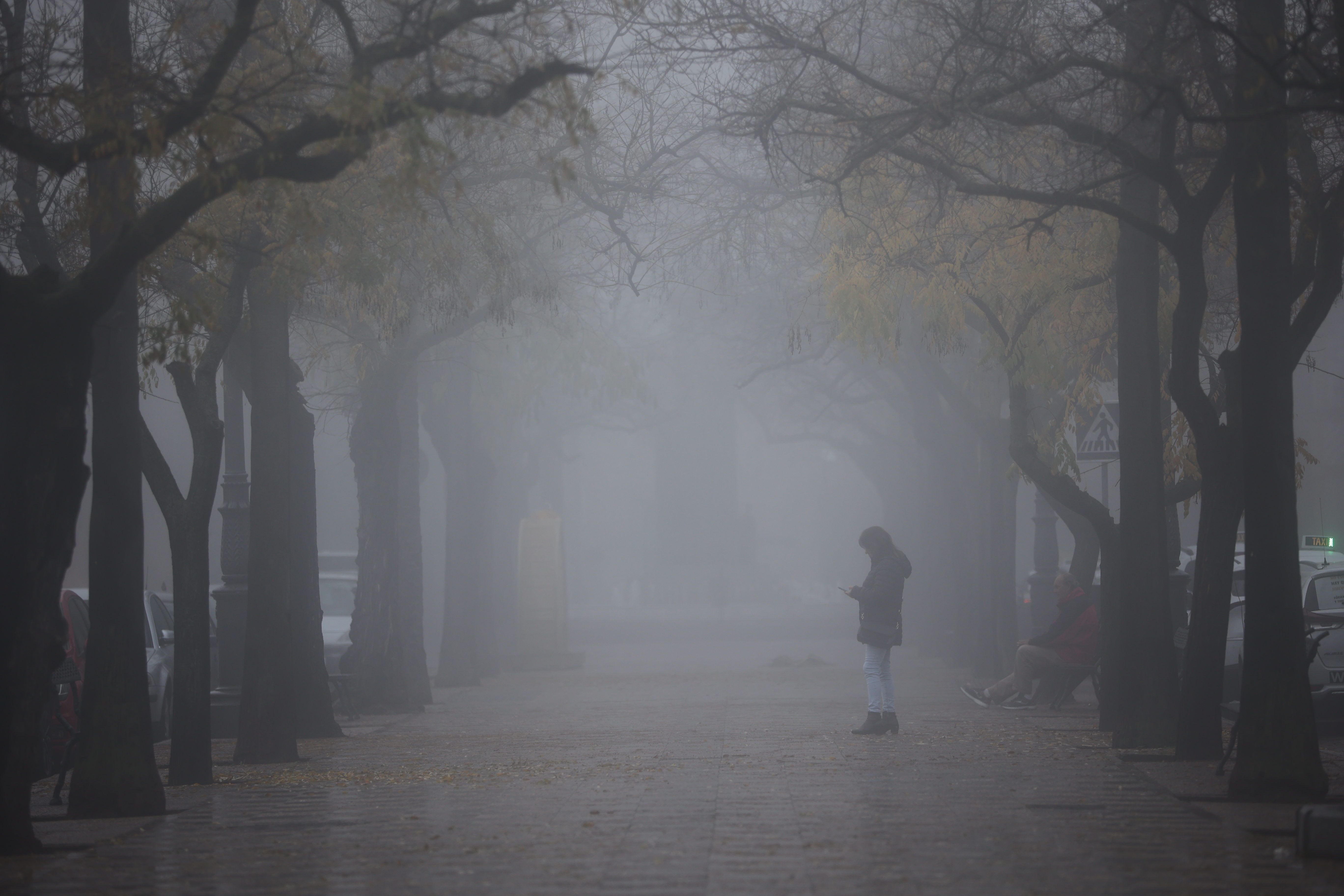 Niebla en Andalucía, antes de la llegada del frío con marcas de cero grados.