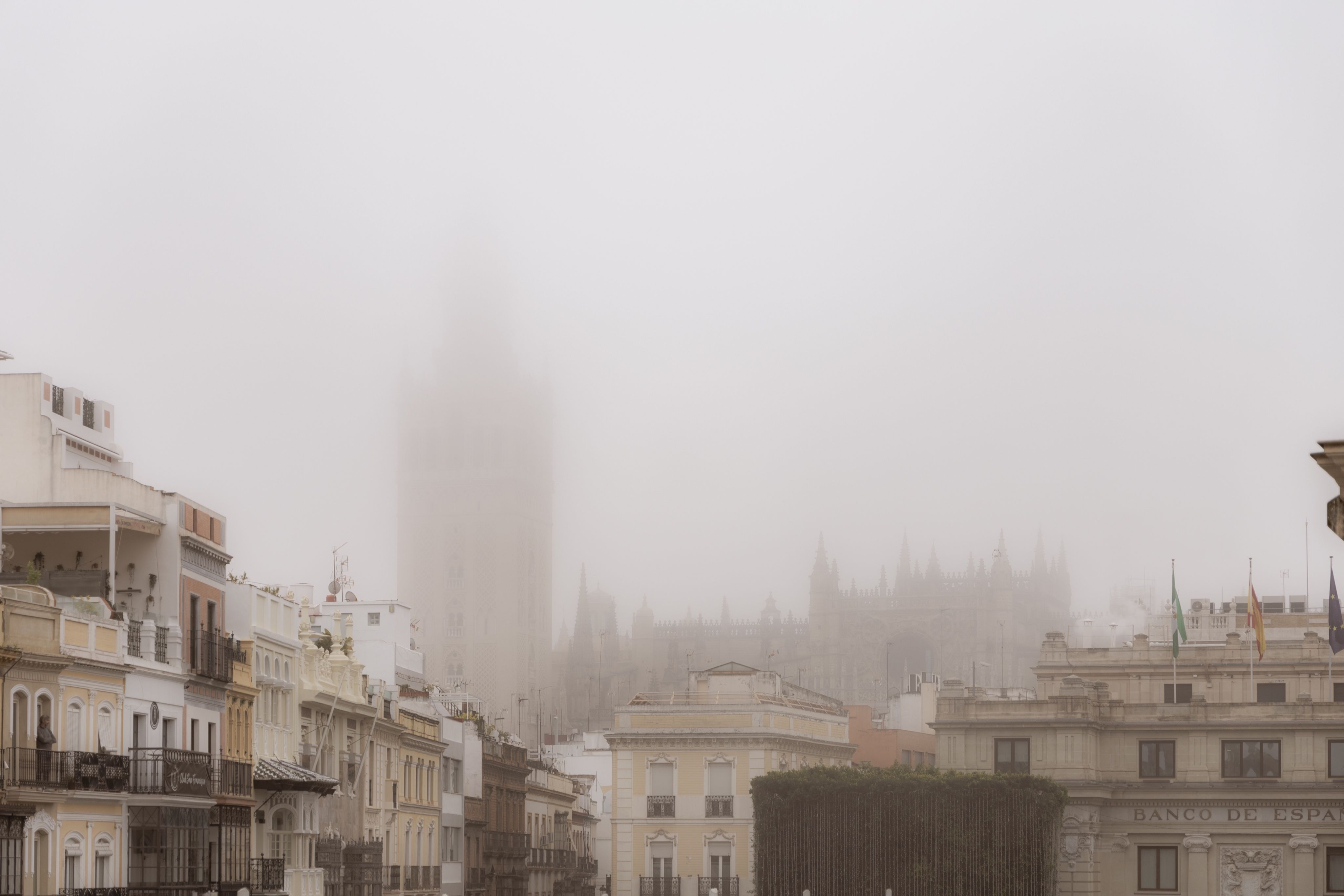 Niebla en Sevilla este viernes.