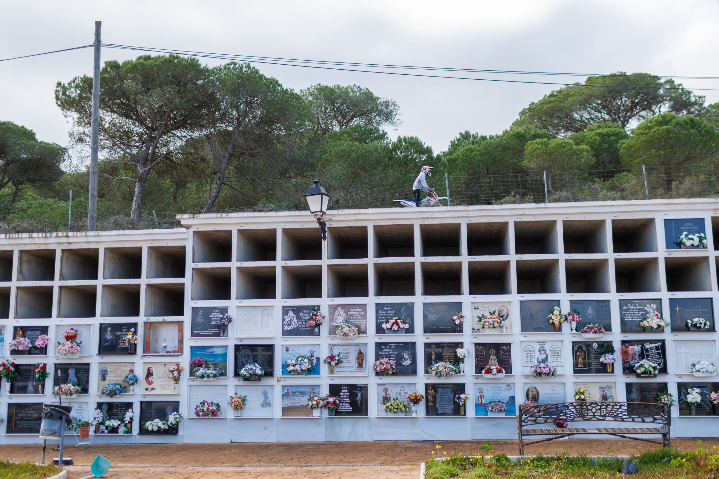 Un joven practica motocross en el pinar situado sobre el cementerio de Barbate este miércoles.