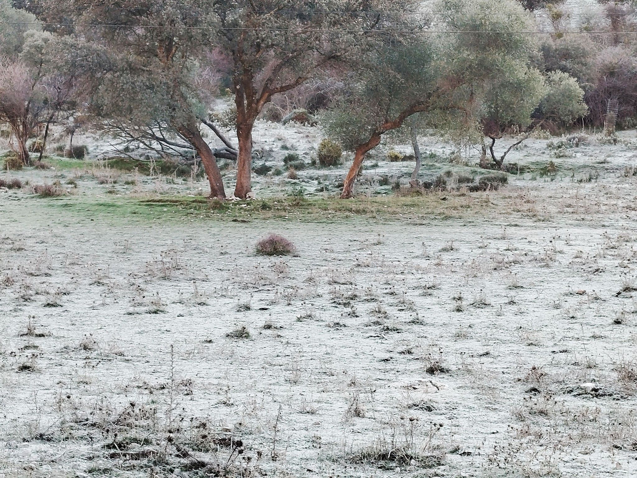 Bella estampa al amanecer en este pueblo de la Sierra de Cádiz: hielo y 3 grados bajo cero.