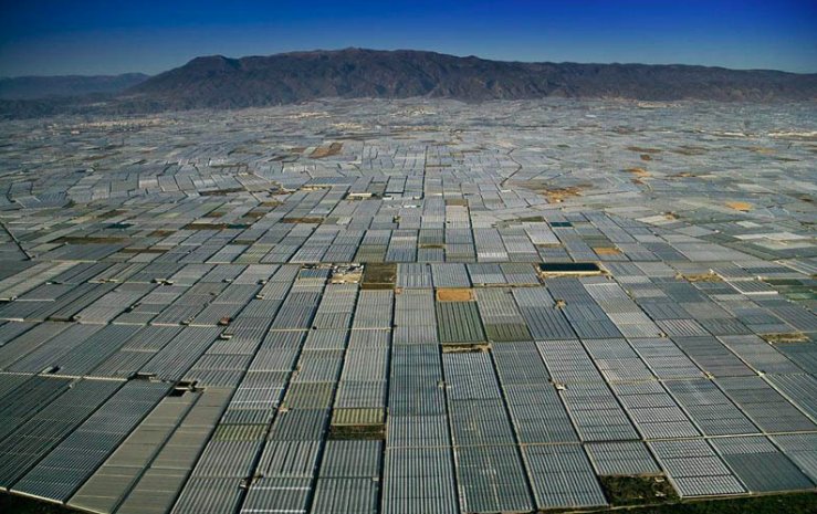 Imagen aérea de invernaderos en la provincia de Almería. FOTO: GRUPOMSC.COM